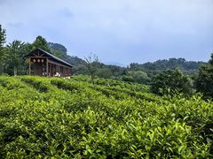 -南湾湖