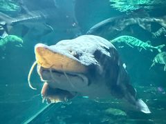 -华夏文旅海洋公园