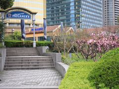 -宝莱纳餐厅(滨江店)