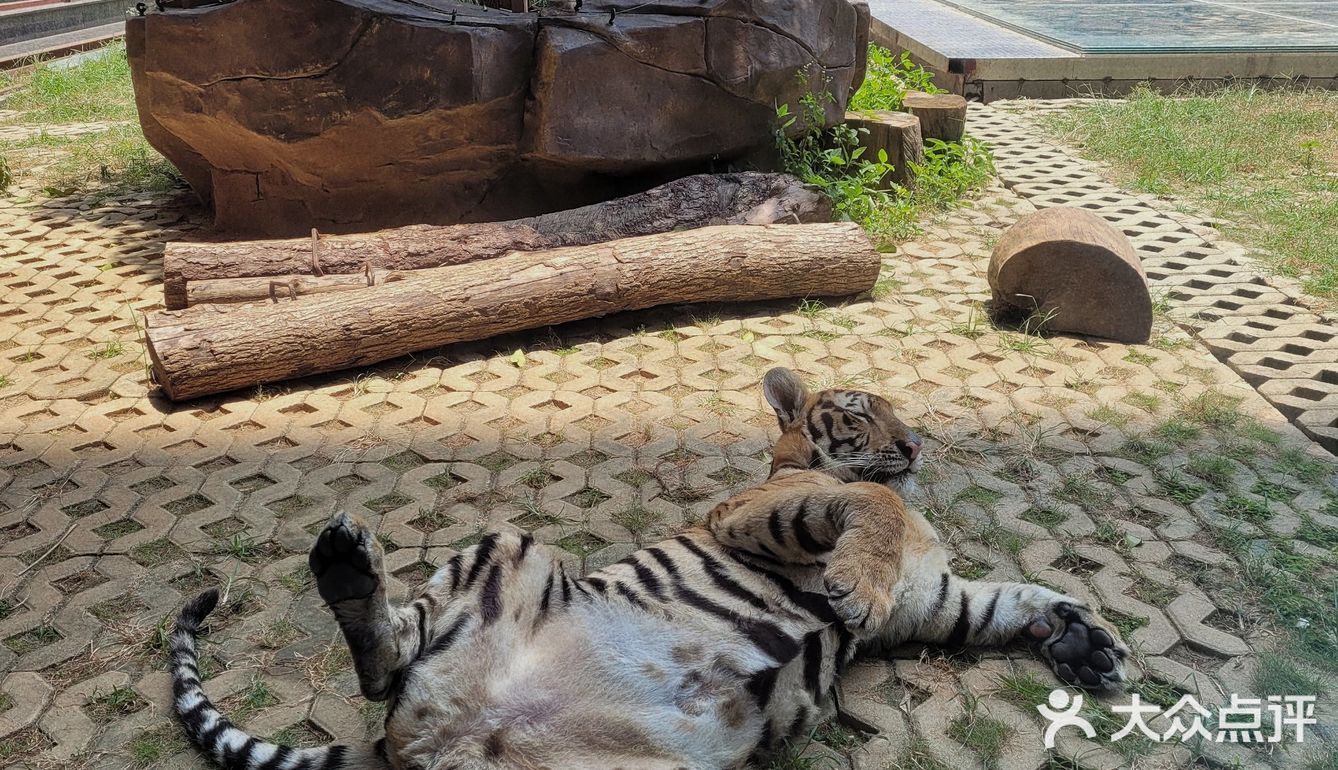 平南野生動物園