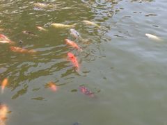 -南戴河国际娱乐中心