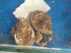 -顶之鲜海鲜餐厅