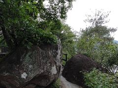 -金鸡山公园
