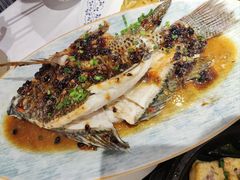 豉油蒸鲷鱼-围龙屋客家食府(福田店)