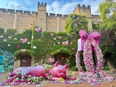 -青岛方特梦幻王国