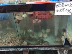 -越海渔村