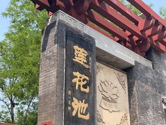 -莲花池公园