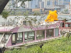 -金鸡湖桃花岛