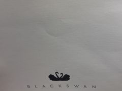 -BLACKSWAN黑天鹅(环球店)