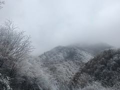 -沣峪口