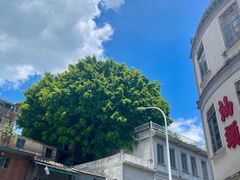-汕头市小公园