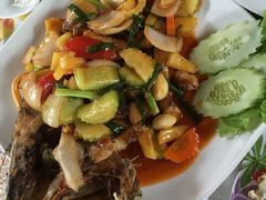 -Jungle Kitchen