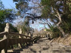 -普陀山慧济禅寺