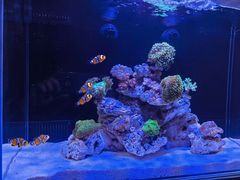 -Rabbit Cafe私房西餐甜点咖啡(栖霞路店)