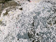 -范蠡湖公园