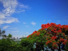 -日月山景区