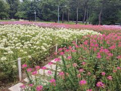 -沈阳植物园