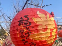 -白鹿原影视城
