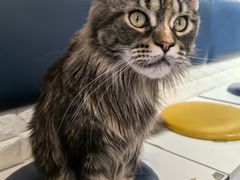 -平行世界·猫咖(首经贸店)