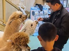 -藦茜花园宠物主题亲子互动体验馆(国顺东路店)