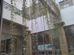 -北京德尔康尼骨科医院