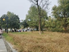 -函谷关历史文化旅游区