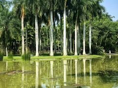 -中国科学院西双版纳热带植物园