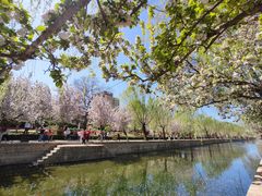 -元大都城垣遗址公园