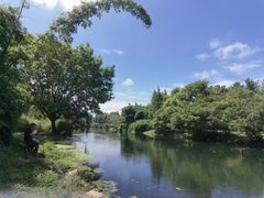 -贵阳市花溪国家城市湿地公园