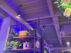 -红牌美蛙鱼头火锅(万辉国际广场店)