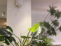-大树餐厅(大悦城店)