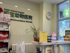 -悦宠凯宝动物医院·牙科·皮肤科(朝阳北路店)