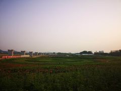 -光明小镇欢乐田园