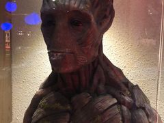 -疯克大象美式烤肉餐厅