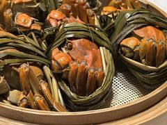 -杨氏青龙虾·羊蝎子(托乐嘉店)