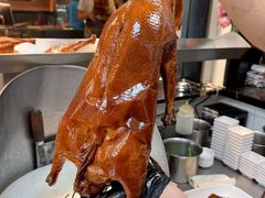-阿诚市井潮汕菜(金台路店)