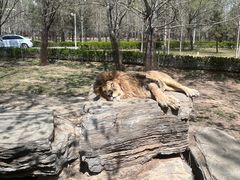 -秦皇岛野生动物园