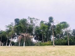 -眉山湿地公园(东坡区)