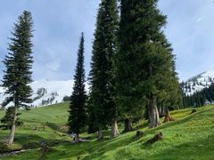 -新疆那拉提国家旅游度假区