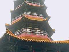 -天下玉苑