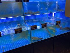 水产区-春申里餐厅(银泰in99店)