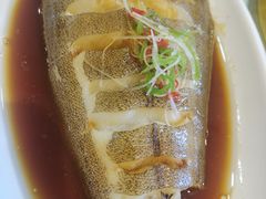 清蒸碟鱼-肘子酥·天津捞面(德云社店)