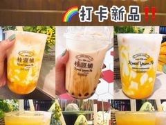 -桂桂茶(恒基名人店)