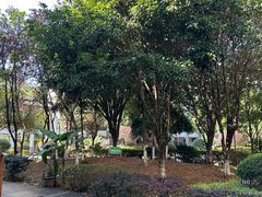 -明月山天沐温泉度假村