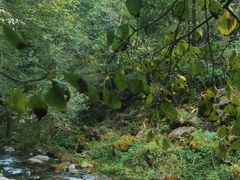 -玉渡山自然风景区