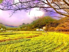 -红山村