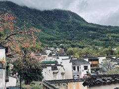 -塔川景区