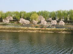 -西安汉城湖景区