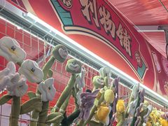 -越秀西湖花市(广州城市广场花卉店)