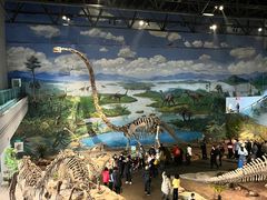 -自贡恐龙博物馆